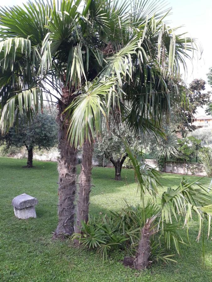Appartamento Greta Cavaion Veronese Dış mekan fotoğraf